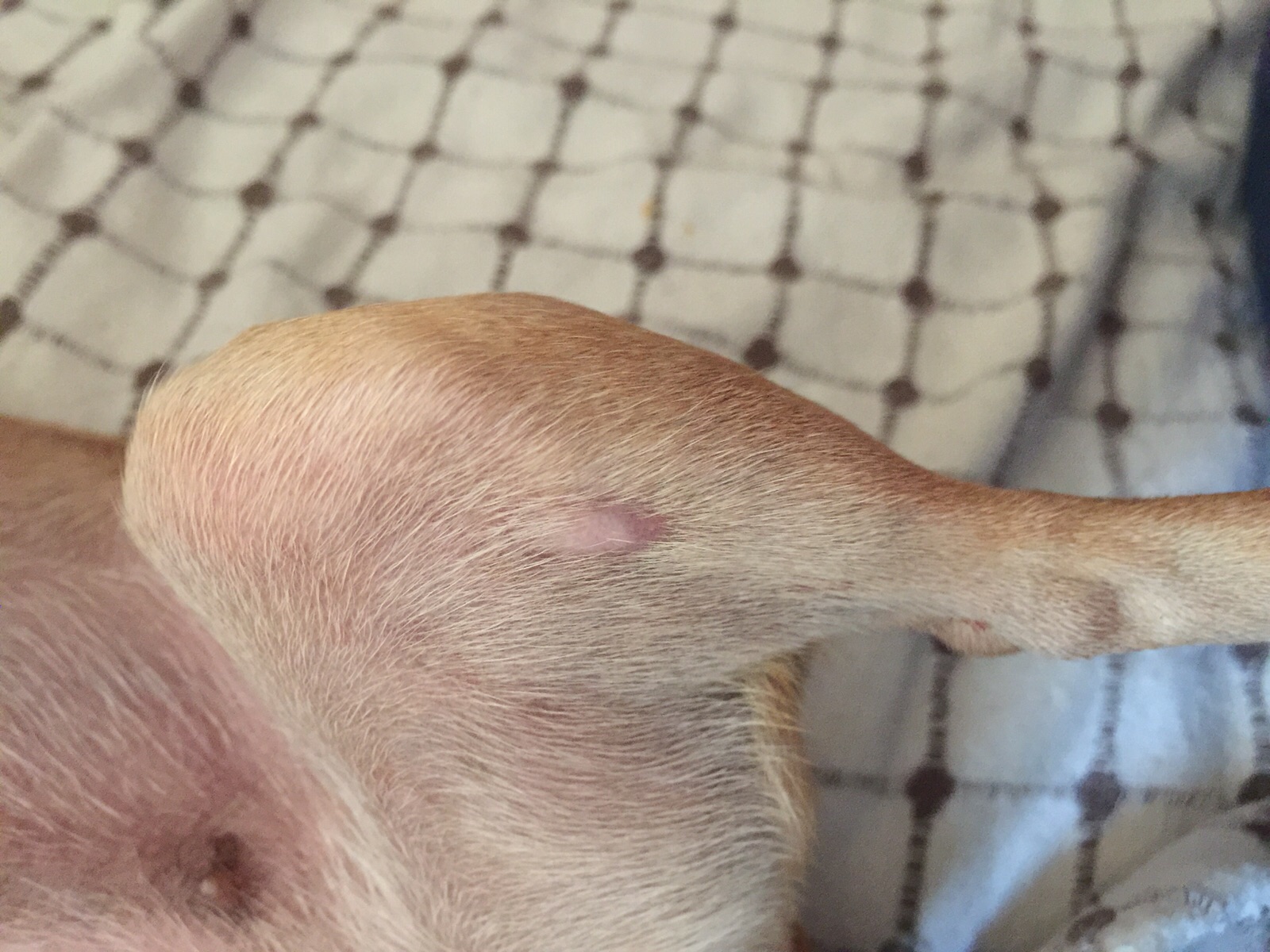 29.09.2015 Tedavi Sonu